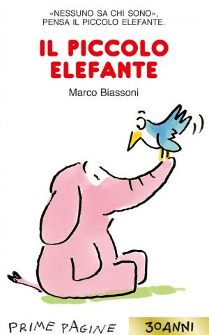 IL PICCOLO ELEFANTE